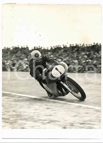 1955 moto tt circuit - moto,